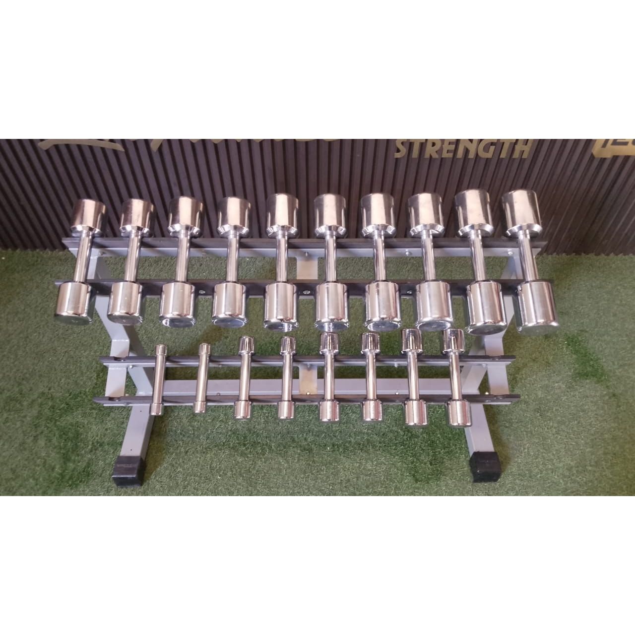 TECHNOGYM CHROME DUMBBEL SE