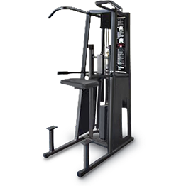 StairMaster Graviton Chin Dip Machine