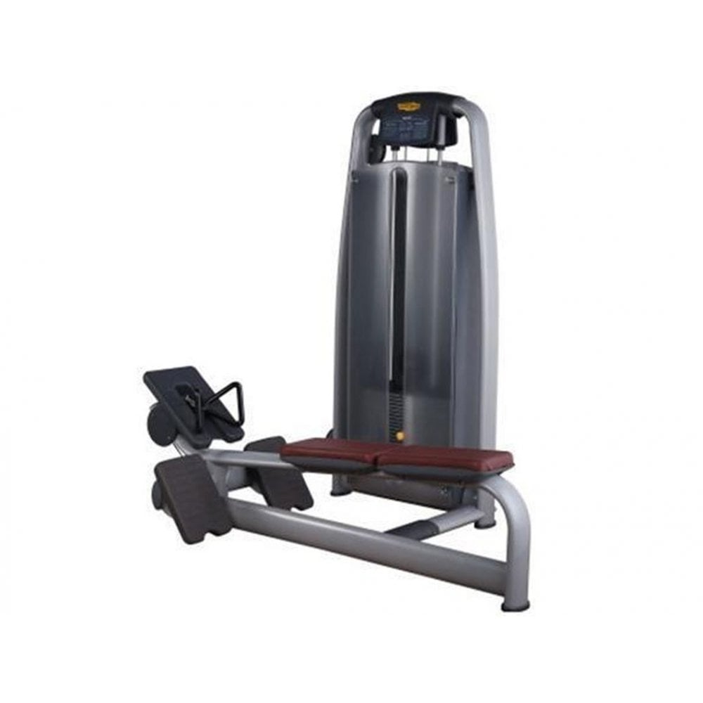 Technogym Pulley Machine