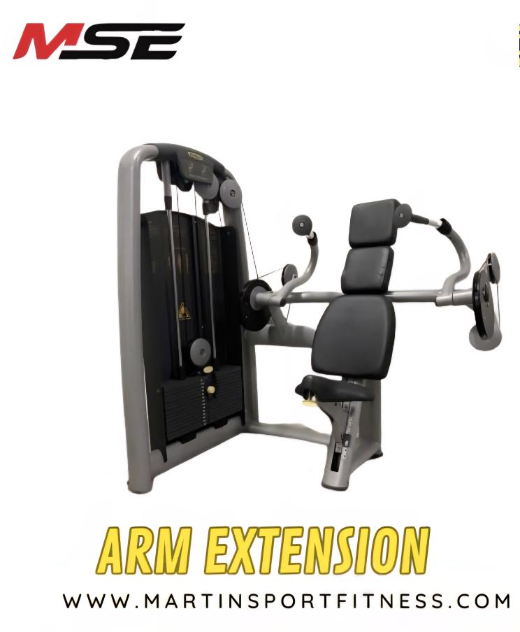 Technogym Arm Extension M945 – Selection Line