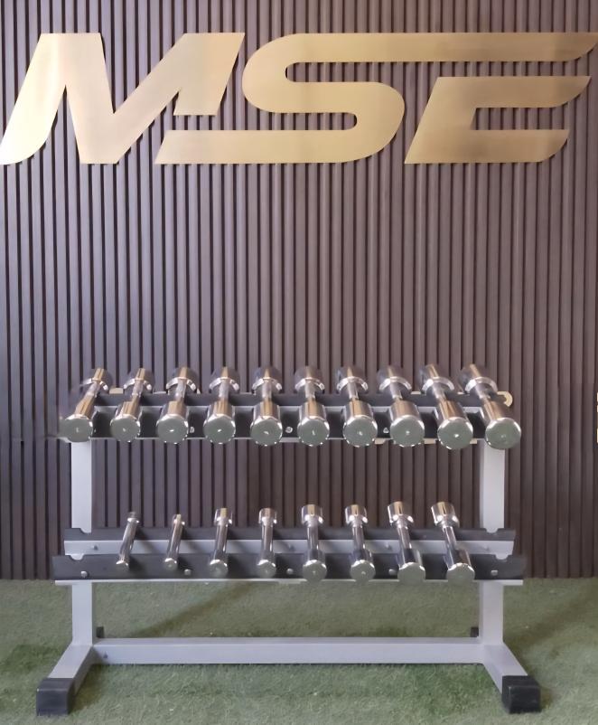 Technogym Chrome Dumbbell Set