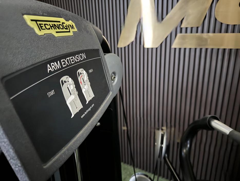 Technogym Arm Extension M945 – Selection Line