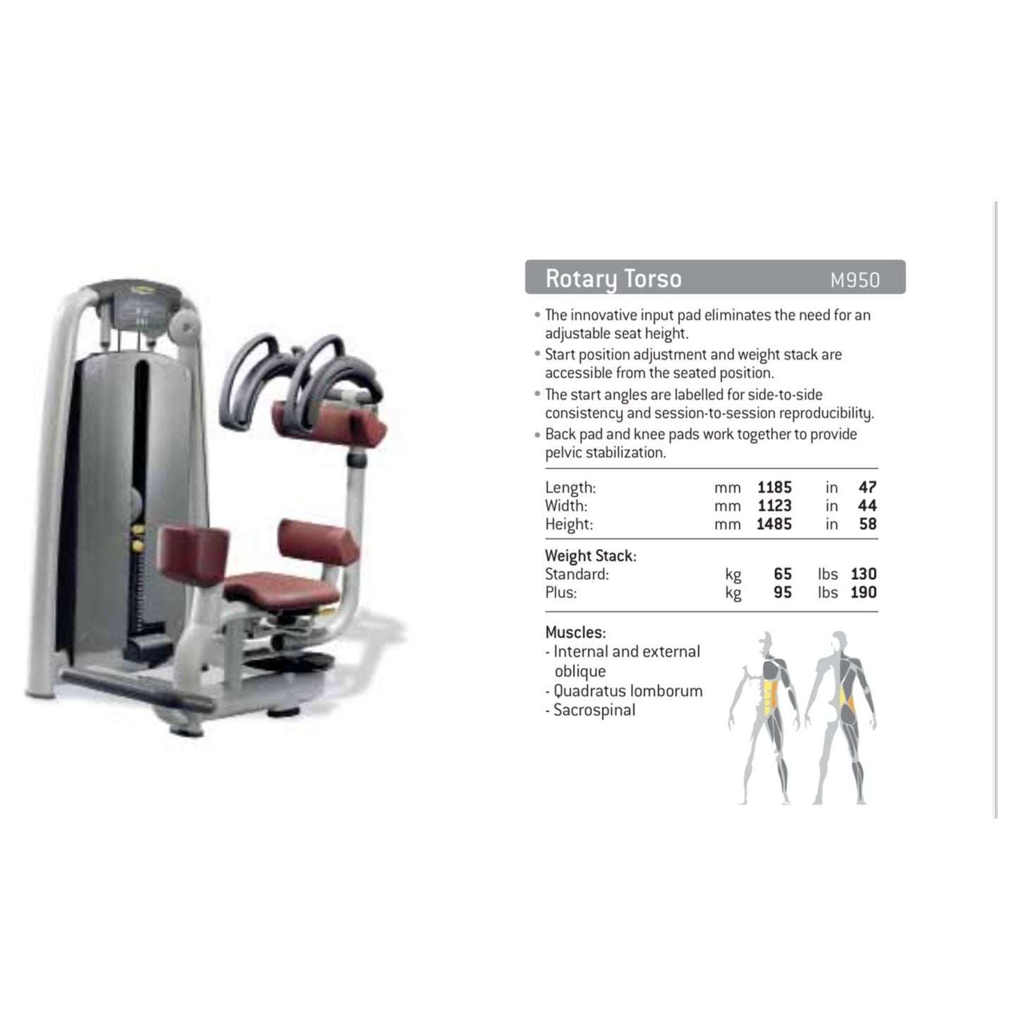 Technogym Strength Equipment Set – Used & Refurbished