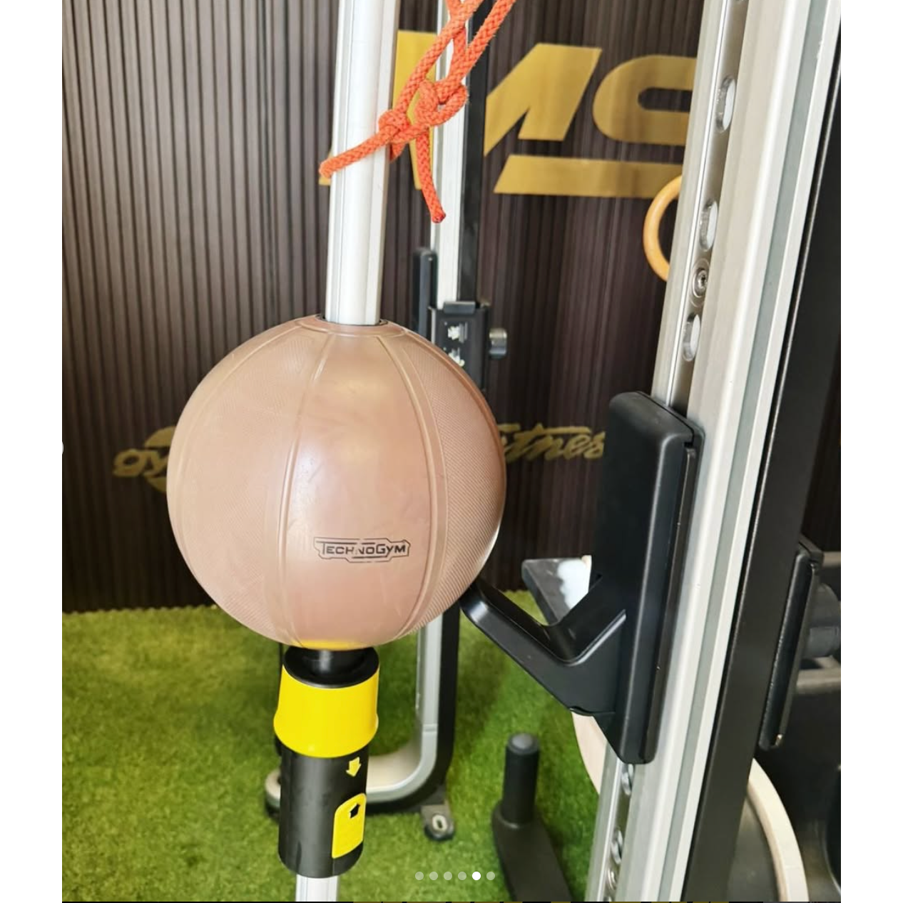 TECHNOGYM OMNIA 8 FUNCTIONAL TRAINING RIG