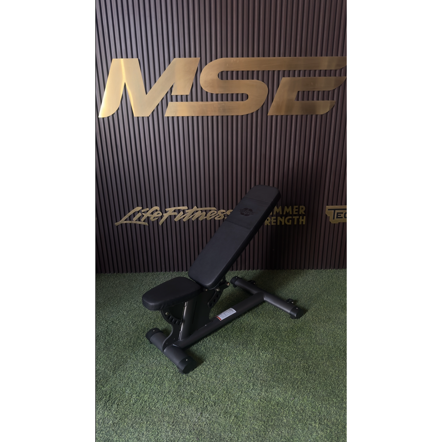 GYM80 Adjustable Bench
