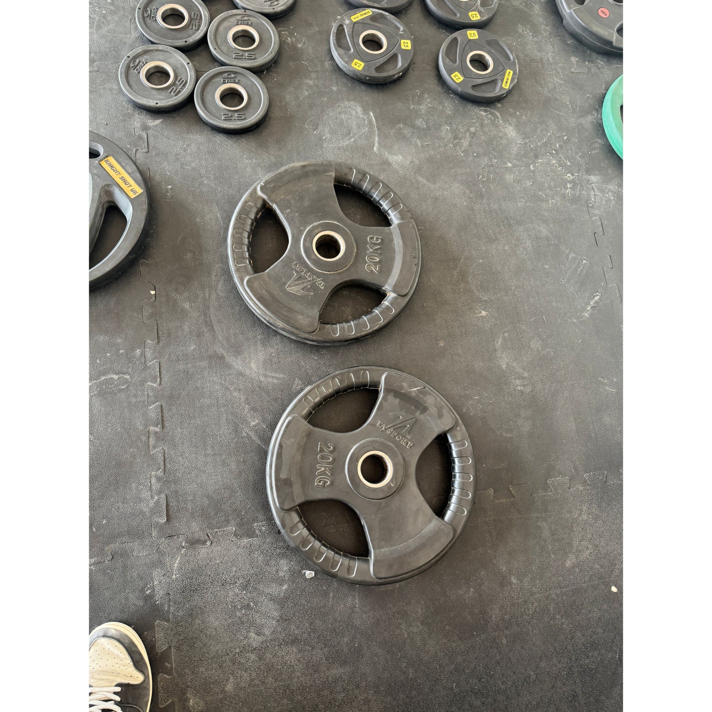 250 KG Olympic Weight Plate Set + Hammer Strength Plate Tree