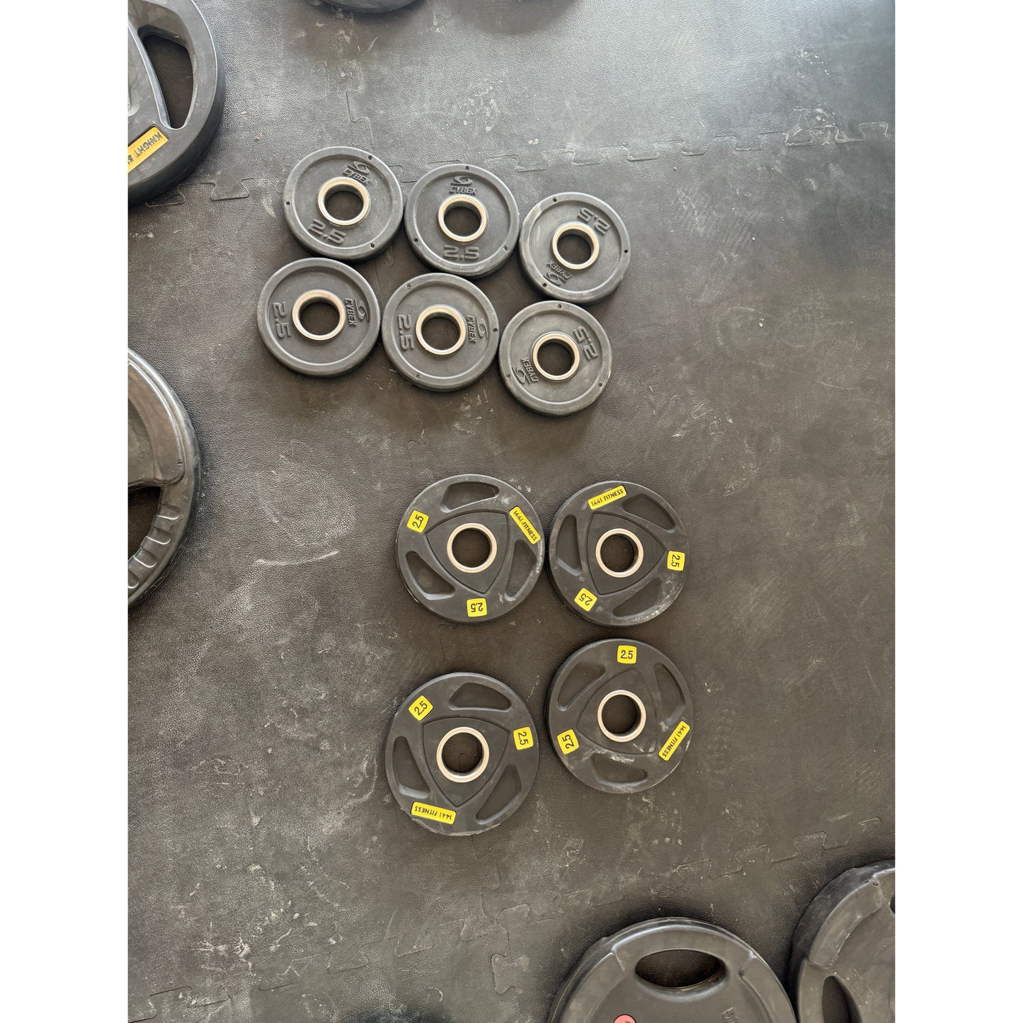 250 KG Olympic Weight Plate Set + Hammer Strength Plate Tree