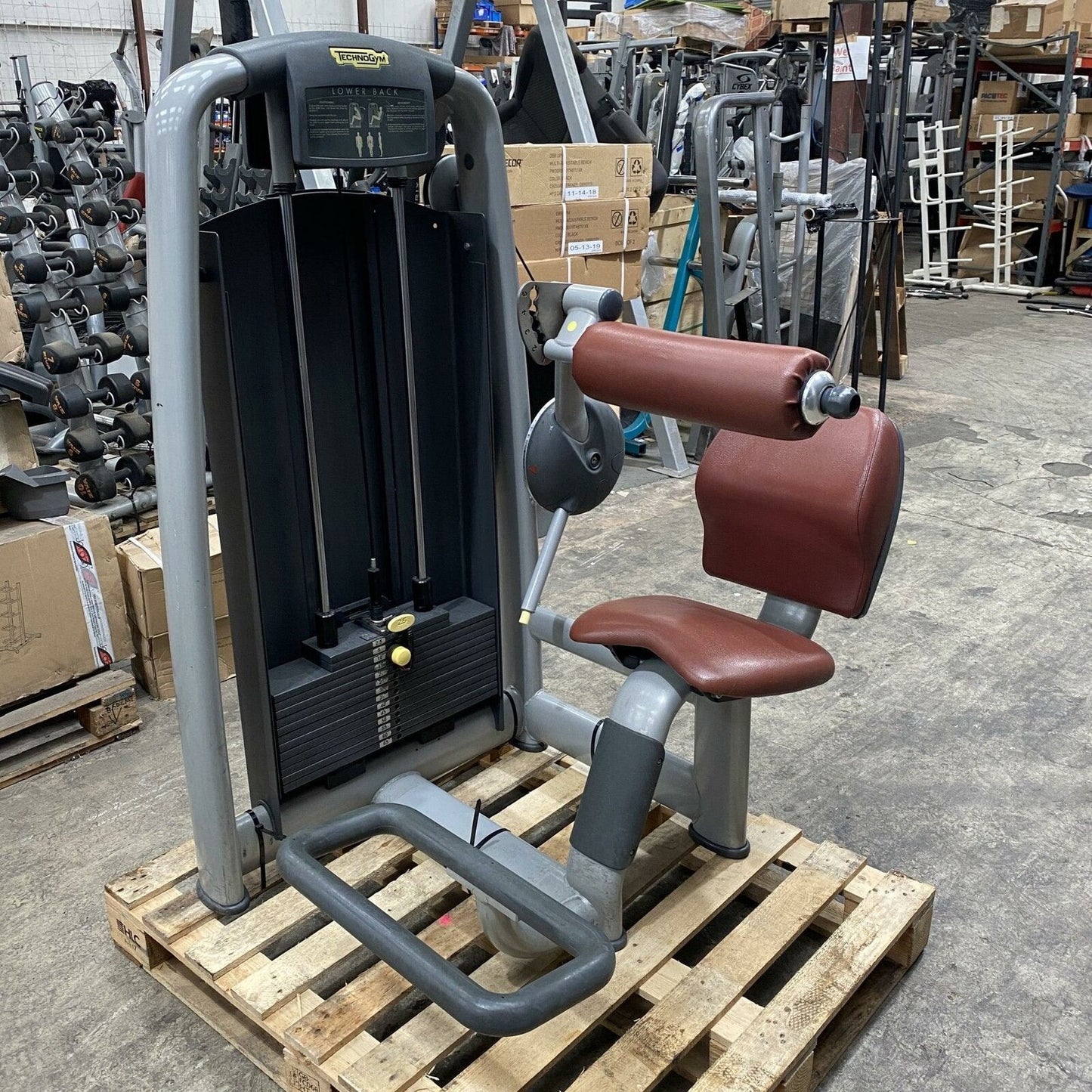 Technogym  – Selection Line – Lower Back M958