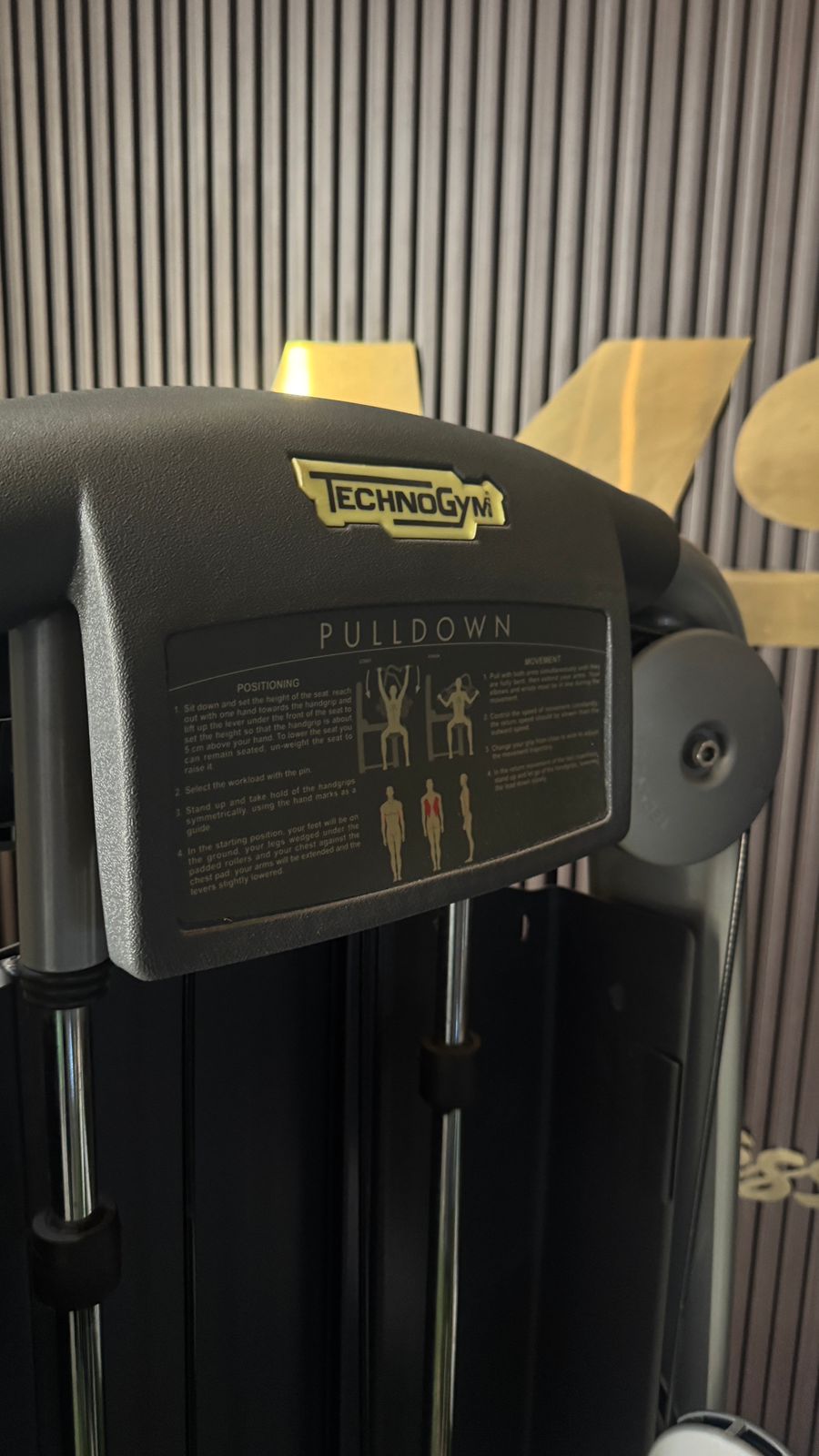 Technogym Pulldown Machine