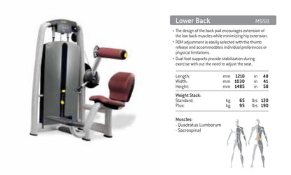 Technogym Set up Used / Refurbished