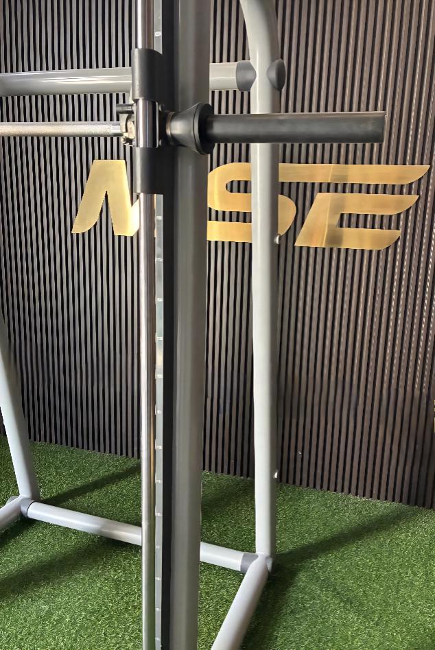 Technogym Element+ Multipower MB83
