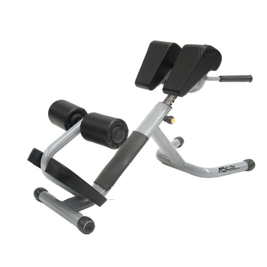 Technogym Selection Line Lower Back Bench P925