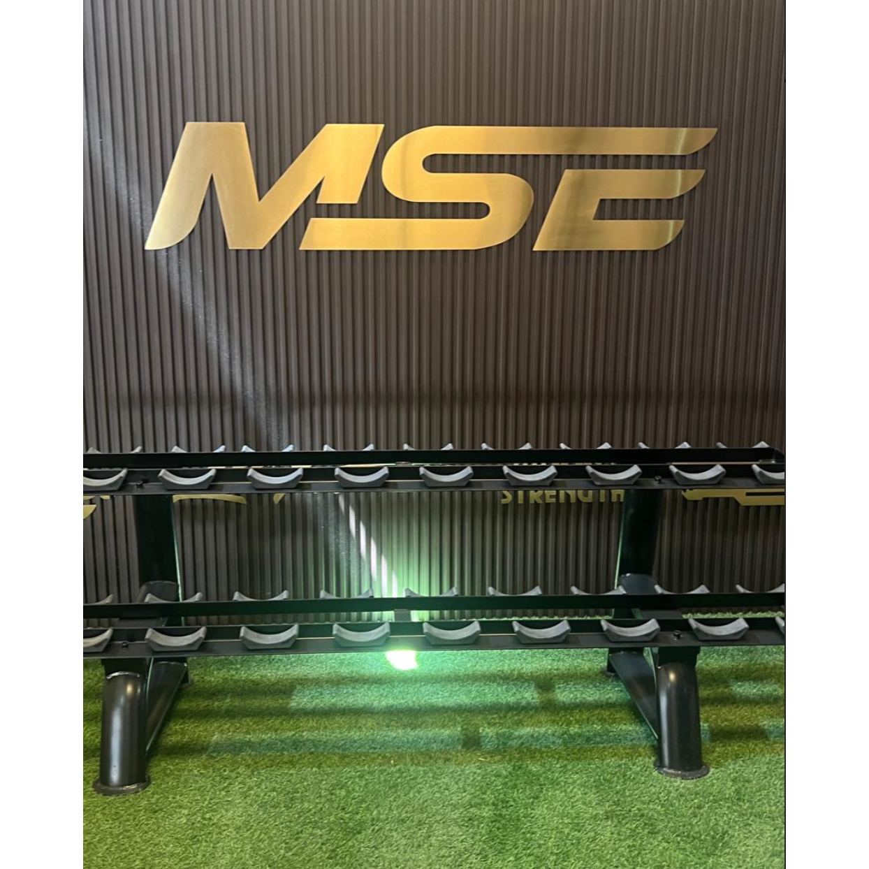 LIFE FITNESS DUMBBELL RACK (REFURBISHED)