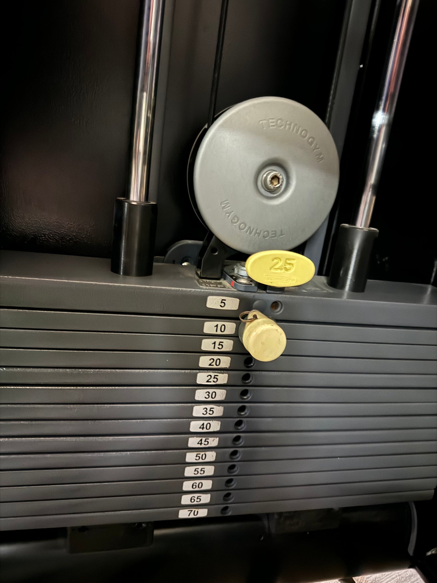 TECHNOGYM SELECTION M945 Arm Extension Trizeps