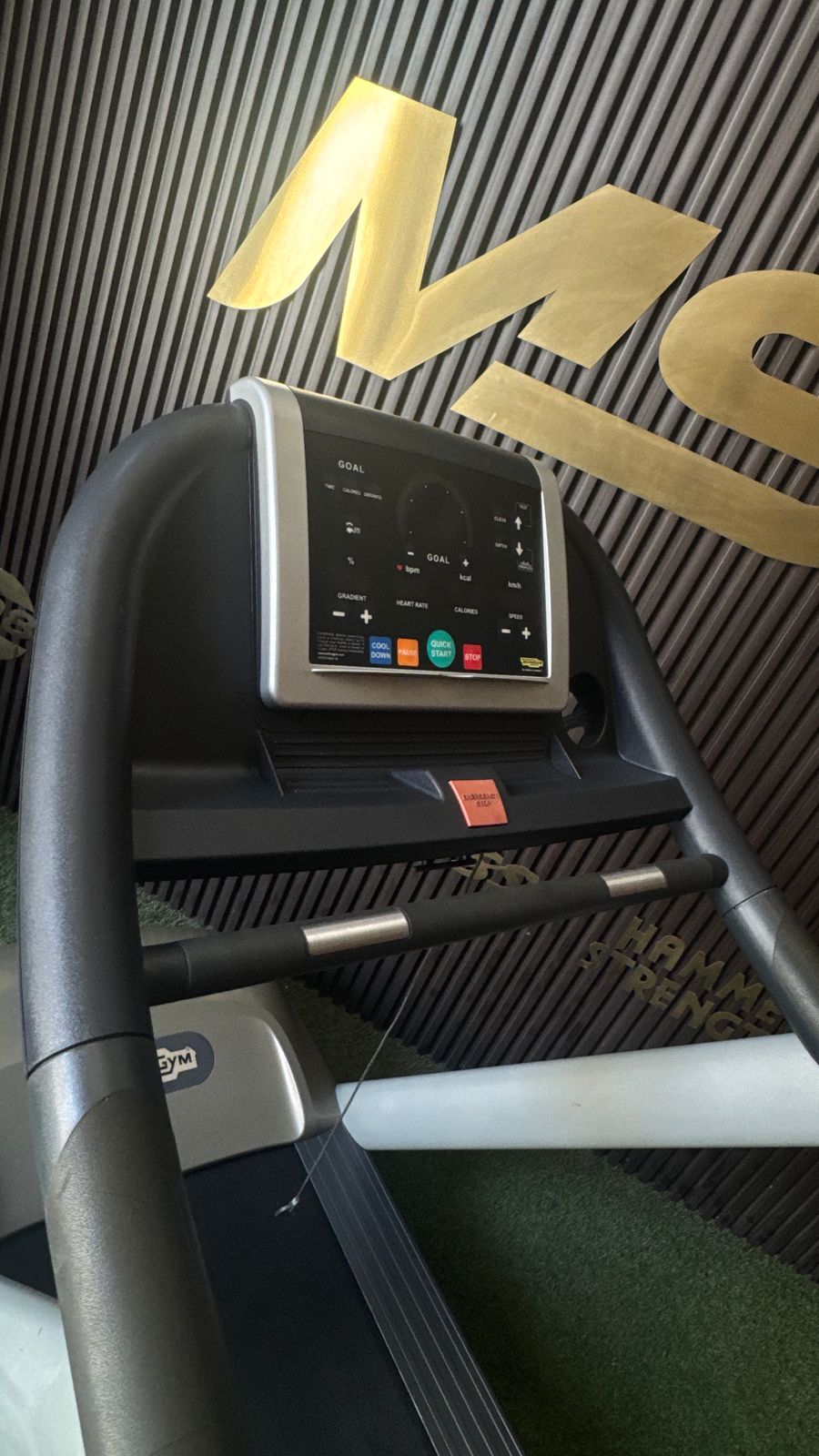 TECHNOGYM JOG TREADMILL 700 LED