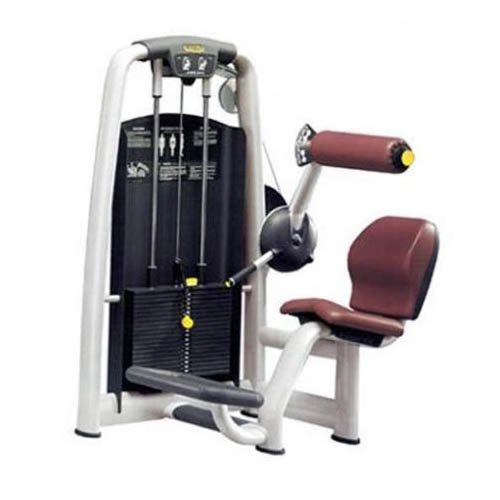 Technogym Lower Back Machine
