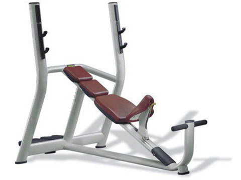 Technogym Selection Line  Incline Bench P919